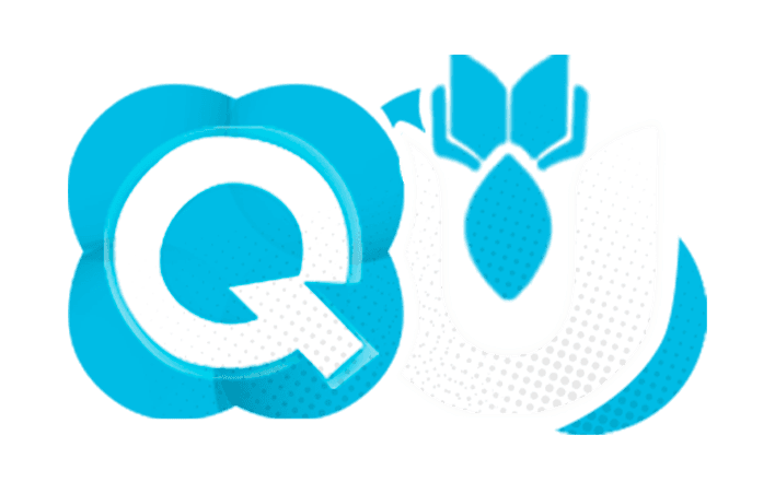 Quasar Academy logo